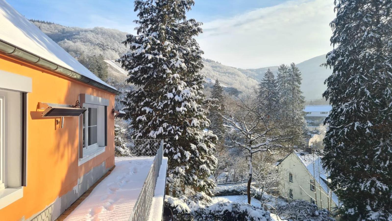 Waldhaus Zum Gechillten Hirsch In Der Natur, Bei Der Moseltherme Traben-Trarbach Exterior photo
