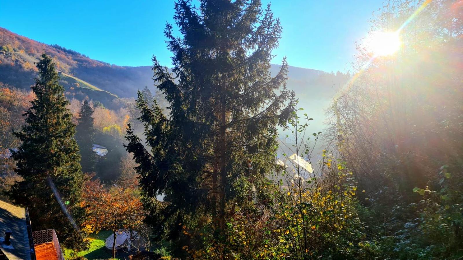 Waldhaus Zum Gechillten Hirsch In Der Natur, Bei Der Moseltherme Traben-Trarbach Exterior photo