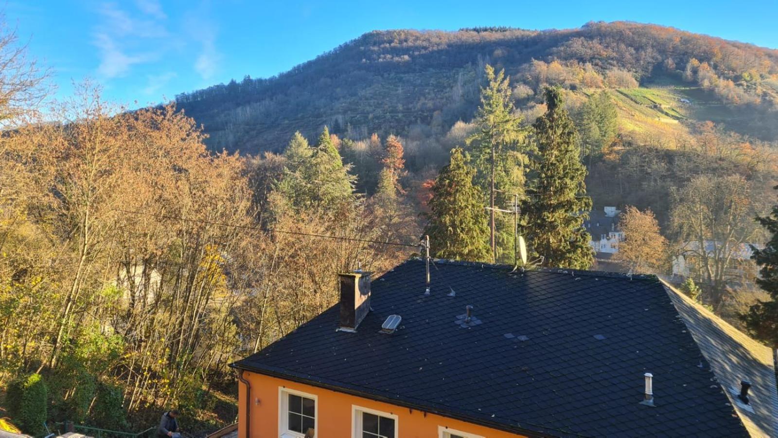Waldhaus Zum Gechillten Hirsch In Der Natur, Bei Der Moseltherme Traben-Trarbach Exterior photo