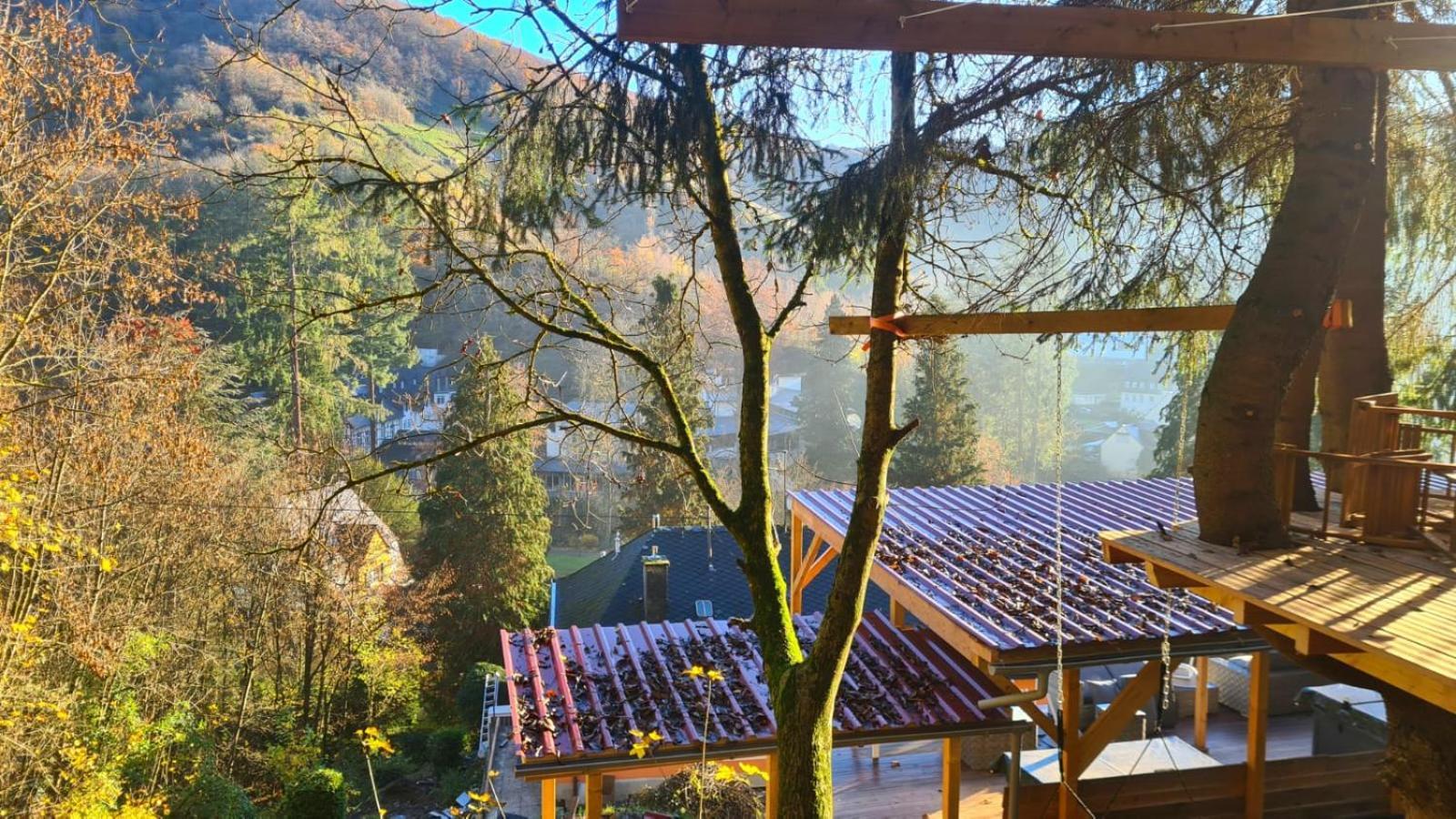 Waldhaus Zum Gechillten Hirsch In Der Natur, Bei Der Moseltherme Traben-Trarbach Exterior photo