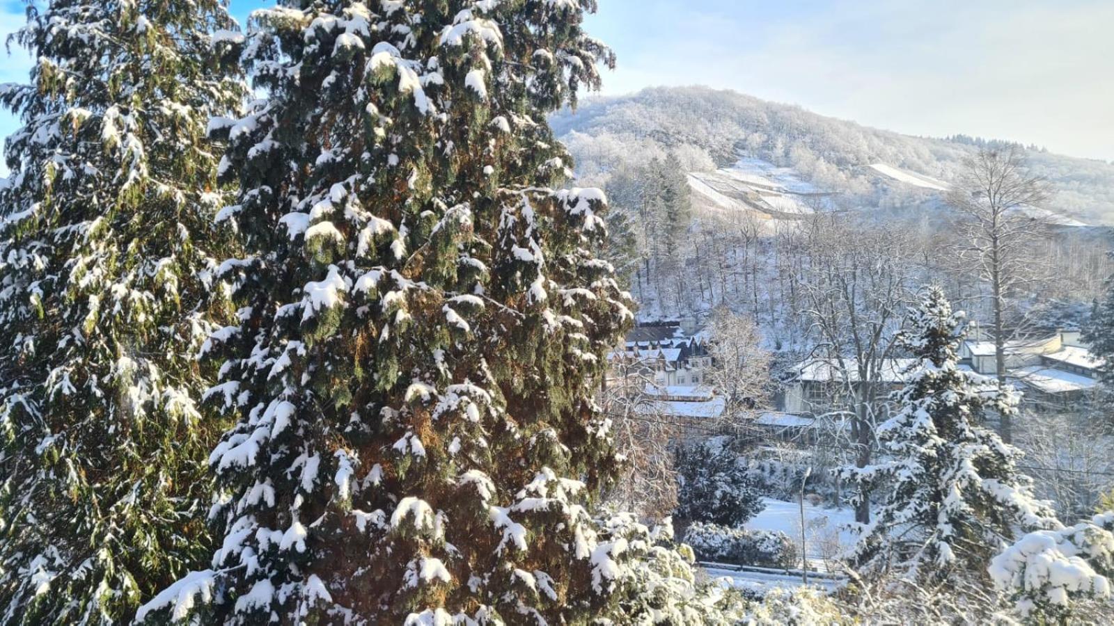 Waldhaus Zum Gechillten Hirsch In Der Natur, Bei Der Moseltherme Traben-Trarbach Exterior photo