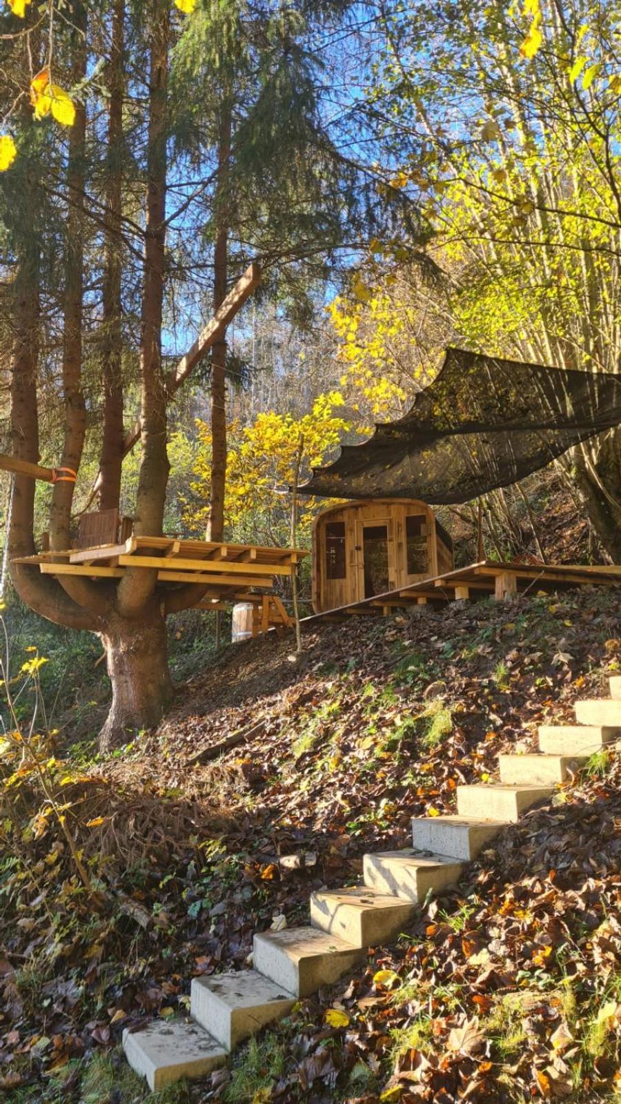Waldhaus Zum Gechillten Hirsch In Der Natur, Bei Der Moseltherme Traben-Trarbach Exterior photo
