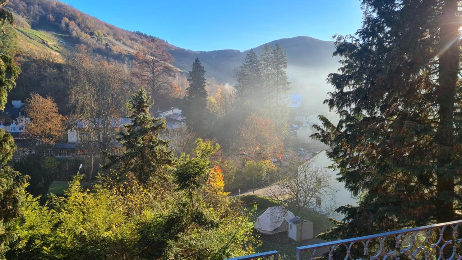 Waldhaus Zum Gechillten Hirsch In Der Natur, Bei Der Moseltherme Traben-Trarbach Exterior photo