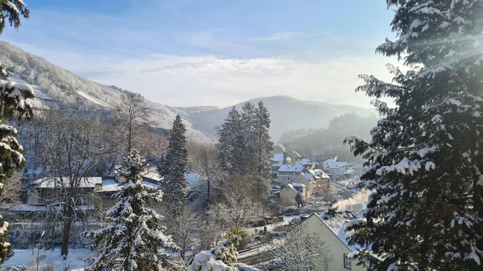 Waldhaus Zum Gechillten Hirsch In Der Natur, Bei Der Moseltherme Traben-Trarbach Exterior photo