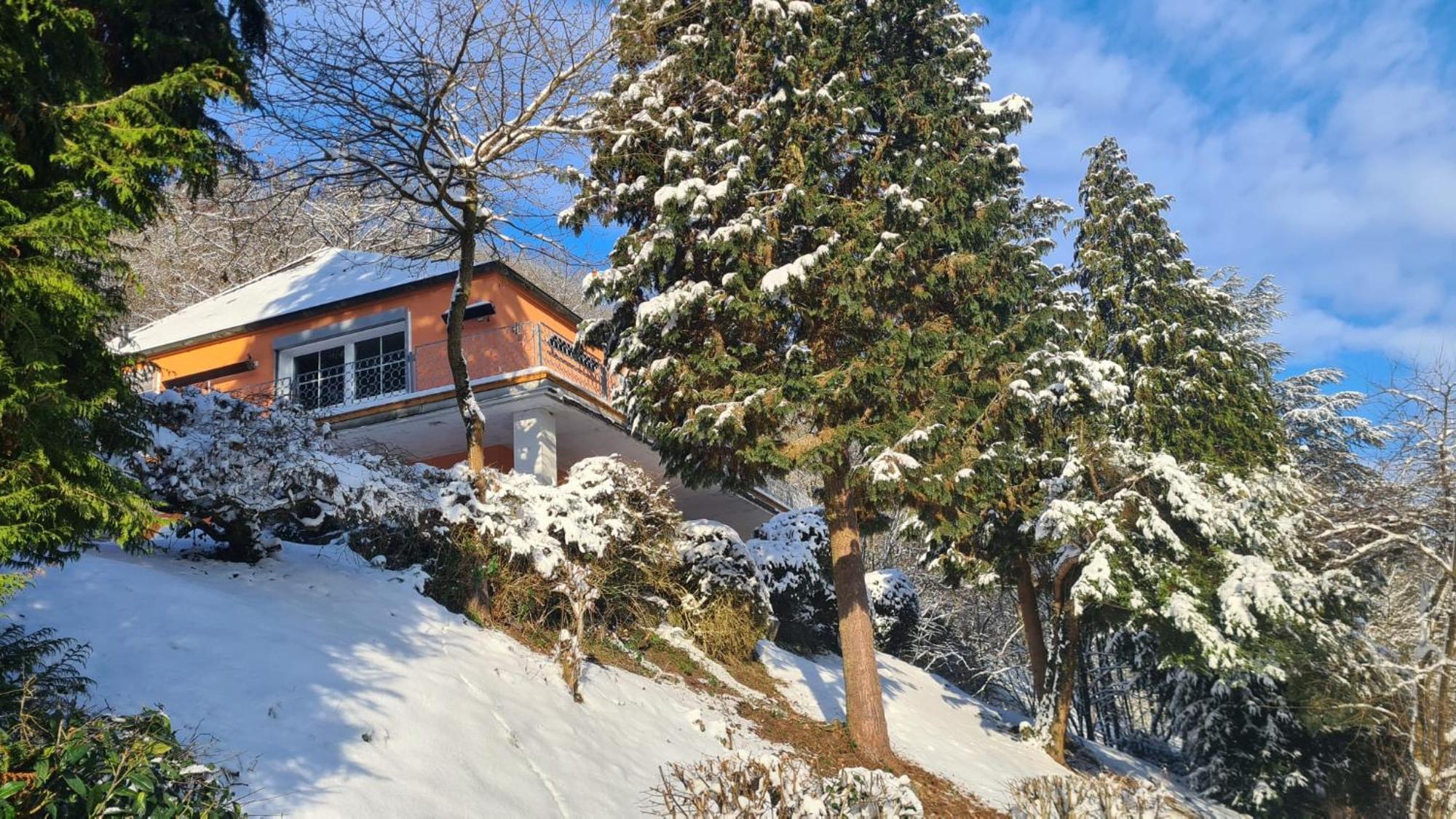 Waldhaus Zum Gechillten Hirsch In Der Natur, Bei Der Moseltherme Traben-Trarbach Exterior photo