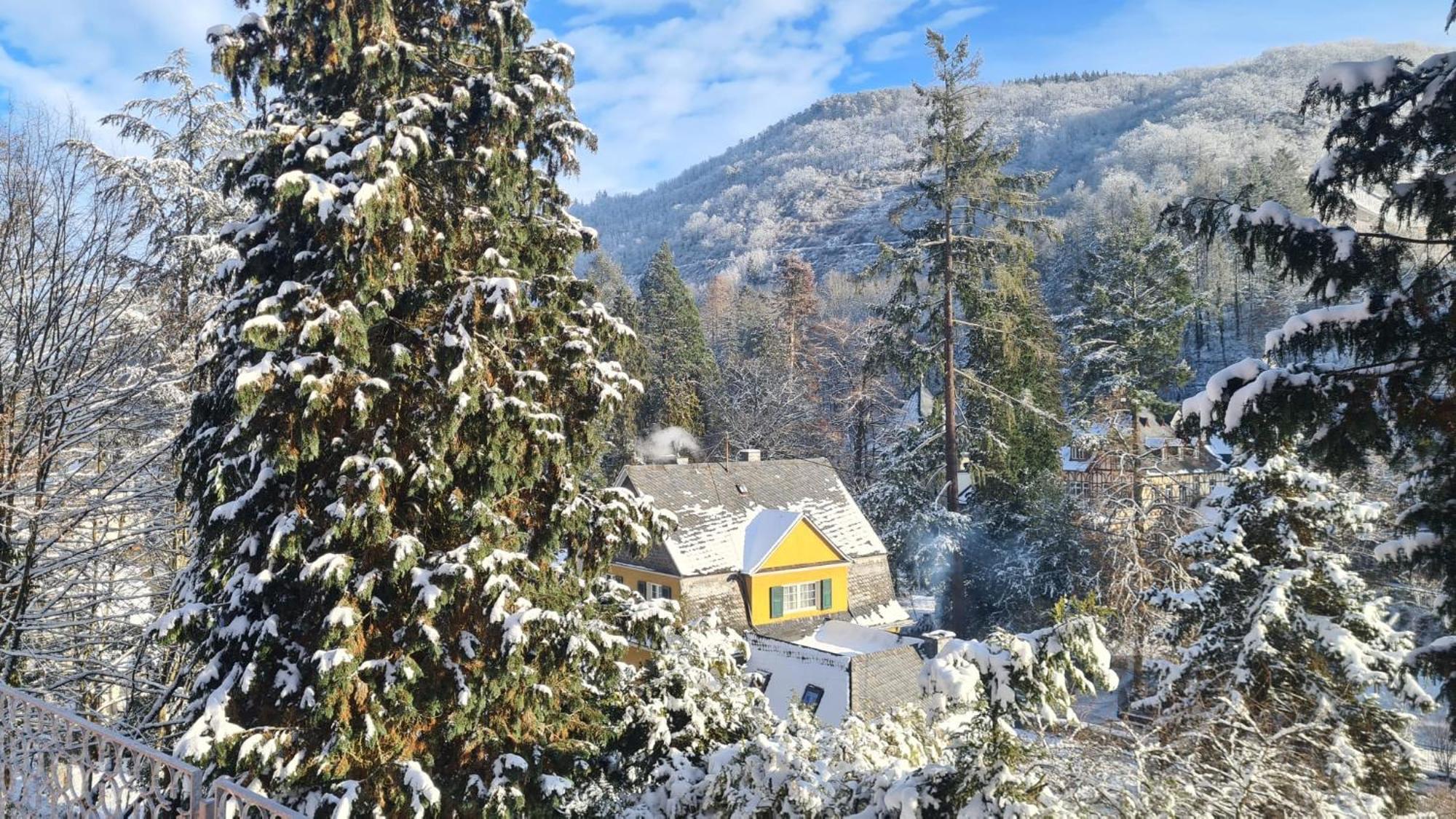 Waldhaus Zum Gechillten Hirsch In Der Natur, Bei Der Moseltherme Traben-Trarbach Exterior photo
